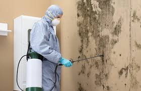 Best Air Quality Testing for Mold Spores  in Twin Lakes, CA